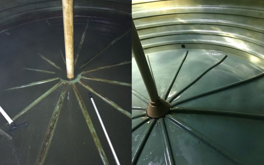 how bacteria grow in water tanks a comprehensive guide