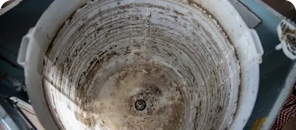 Bacteria And Algea In Water Tank